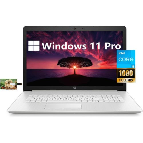 에이치피 HP 17 Business Laptop Computer, 11th Gen Intel Core i3-1115G4, 17.3 FHD Display, Windows 11 Pro, 8GB RAM 256GB SSD, HDMI, Wi-Fi, Bluetooth, Webcam, 32GB Durlyfish USB Card