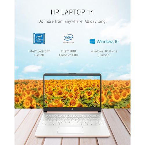 에이치피 HP 14 Laptop, Intel Celeron N4020, 4 GB RAM, 64 GB Storage, 14-inch HD Touchscreen, Windows 10 Home, Thin & Portable, 4K Graphics, One Year of Microsoft 365 (14-dq0070nr, 2021, Pal