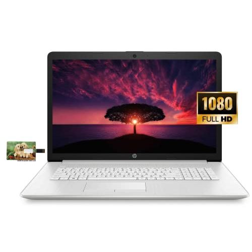 에이치피 HP 17 Business Laptop Computer, 11th Gen Intel Core i3-1115G4, 17.3 FHD Display, Windows 10 Pro, 12GB RAM, 256GB SSD, WiFi, Bluetooth, Webcam, HDMI, 32GB Durlyfish USB Card