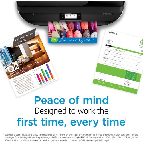 에이치피 Original HP 65 Black Ink Cartridge Works with HP AMP 100 Series, HP DeskJet 2600, 3700 Series, HP ENVY 5000 Series Eligible for Instant Ink N9K02AN