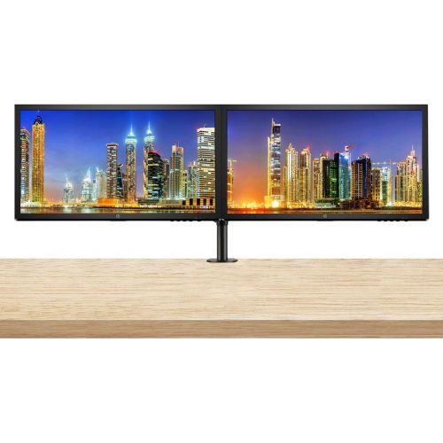 에이치피 HP V24 24 inch TN Full HD 1920 x 1080 LED Backlit LCD Monitor 2-Pack Bundle with HDMI and VGA ports, AMD FreeSync, 75Hz Refresh Rate, Low Blue Light and Desk Mount Clamp Dual Monit