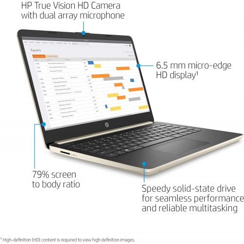 에이치피 HP 14 Inch HD WLED-Backlight Business Laptop Intel Core i3-1005G1 8GB DDR4 RAM 512GB SSD WiFi Bluetooth HDMI Windows 10 Home S Gold with Wireless Mouse Bundle