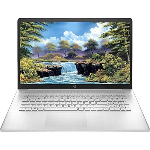 에이치피 2021 Newest HP 17 Laptop, 17.3 HD+ Non-Touch Display, 11th Gen Intel Core i3-1115G4 Processor, 16GB DDR4 Memory, 1TB HDD, HDMI, Wi-Fi, Bluetooth, Windows 10 Home, Silver