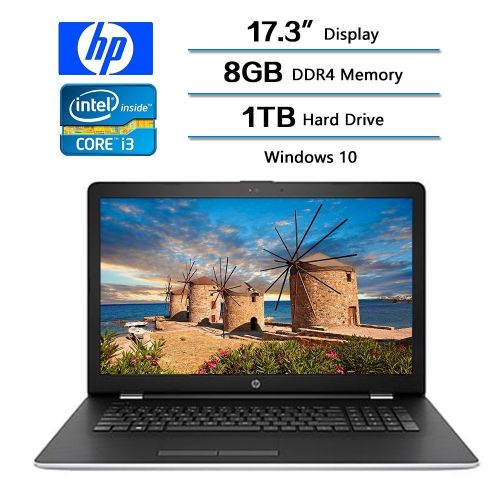 에이치피 2017 HP 17.3 Business Flagship Laptop PC HD+ WLED-backlit Display Intel i3-7100U Processor 8GB DDR4 RAM 1TB HDD Intel 520 Graphics DVD-RW 802.11AC Wifi Webcam HDMI Windows 10-Silve