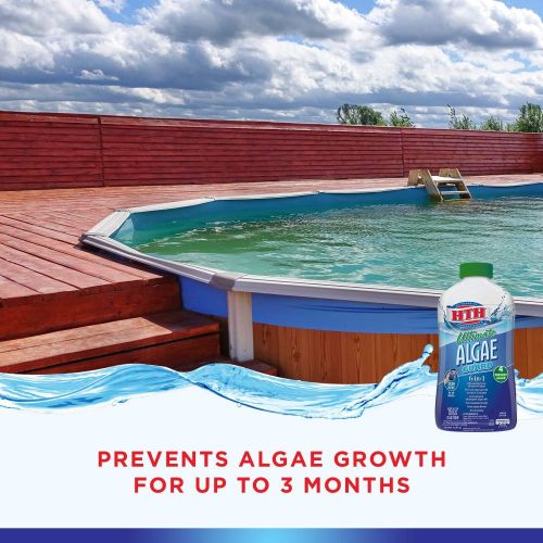  HTH 67033 Ultimate Algae Guard Swimming Pool Algaecide Cleanser, 1 qt