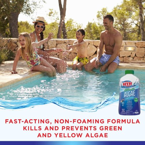  HTH 67033 Ultimate Algae Guard Swimming Pool Algaecide Cleanser, 1 qt