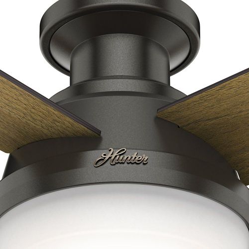  Hunter Fan Company Hunter 59447 Dempsey Low Profile with Light 52 Ceiling Fan Handheld Remote, Large, Noble Bronze