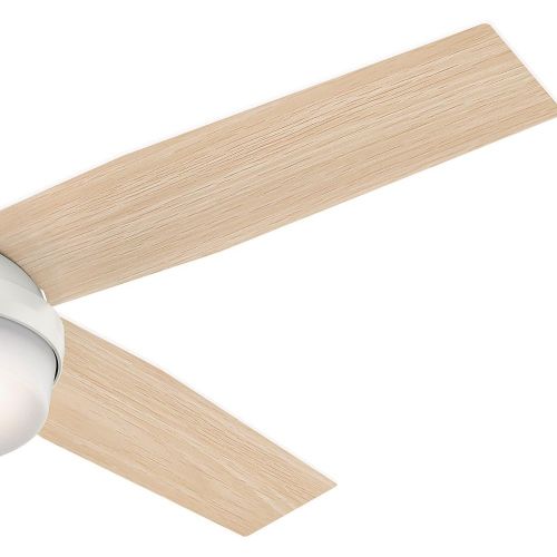  Hunter Fan Company 59252 Hunter 52 Dempsey Damp Fresh White Ceiling Fan with Light and Remote, Pwt, Nckl, BS, Slvr