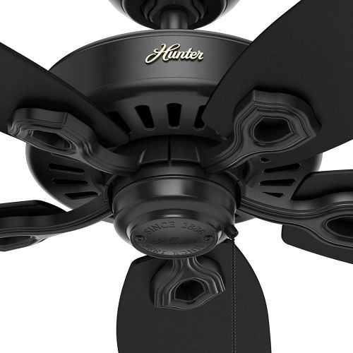  Hunter Fan Company 53294 52 Builder Elite Damp Ceiling Fan, Matte Black