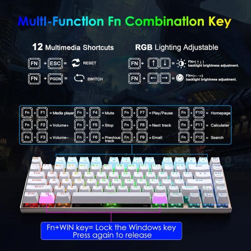  HUO JI E-Yooso Z-88 RGB Mechanical Gaming Keyboard, Metal Panel, Brown Switches, Compact 81 Keys Hot Swappable for Mac, PC, Silver and White