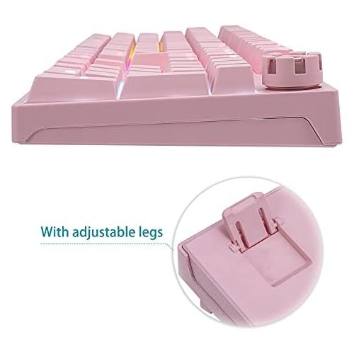  HUO JI Pink Mechanical Gaming Keyboard, USB Wired with Rainbow LED Backlit, Blue Switches, Multimedia Keys,108 Keys No Conflict