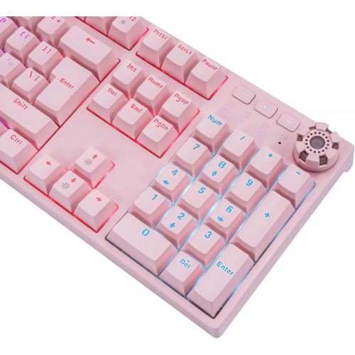  HUO JI Pink Mechanical Gaming Keyboard, USB Wired with Rainbow LED Backlit, Blue Switches, Multimedia Keys,108 Keys No Conflict