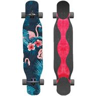 HYE-SPORT Skateboard Longboards Skateboard 46 Inches X 9.2 Inches Freestyle Longboard Skateboard Dancing Skateboard Outdoor Sports Cruiser for Kids Boys Youths Beginner