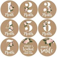 [아마존베스트]Hadley Designs 16 Rustic Floral Baby Girl Milestone Stickers, 12 Monthly Photo Picture Props for Infant Onesie, 1st Year Belly Decals, Scrapbook Memory Registry Gift, Best Shower Basket Present,