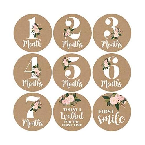  [아마존베스트]Hadley Designs 16 Rustic Floral Baby Girl Milestone Stickers, 12 Monthly Photo Picture Props for Infant Onesie, 1st Year Belly Decals, Scrapbook Memory Registry Gift, Best Shower Basket Present,