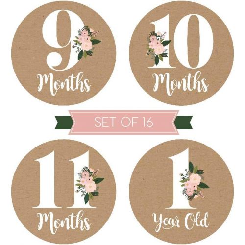  [아마존베스트]Hadley Designs 16 Rustic Floral Baby Girl Milestone Stickers, 12 Monthly Photo Picture Props for Infant Onesie, 1st Year Belly Decals, Scrapbook Memory Registry Gift, Best Shower Basket Present,