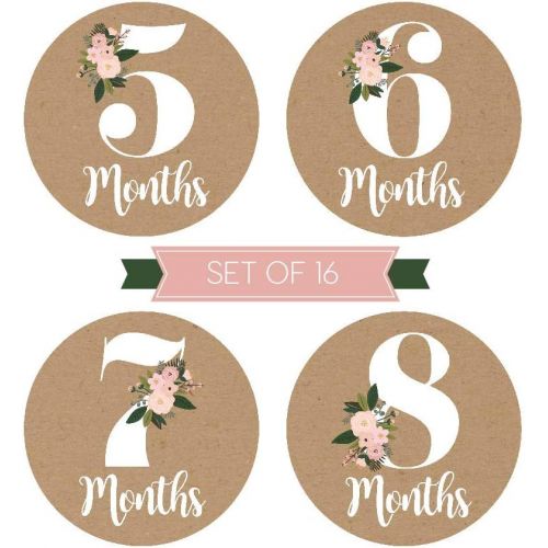  [아마존베스트]Hadley Designs 16 Rustic Floral Baby Girl Milestone Stickers, 12 Monthly Photo Picture Props for Infant Onesie, 1st Year Belly Decals, Scrapbook Memory Registry Gift, Best Shower Basket Present,