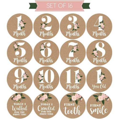  [아마존베스트]Hadley Designs 16 Rustic Floral Baby Girl Milestone Stickers, 12 Monthly Photo Picture Props for Infant Onesie, 1st Year Belly Decals, Scrapbook Memory Registry Gift, Best Shower Basket Present,