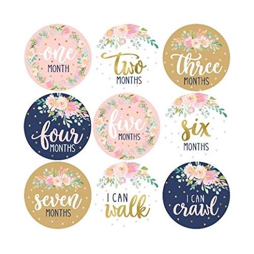  [아마존베스트]Hadley Designs 16 Navy Pink Floral Baby Girl Milestone Stickers, 12 Monthly Photo Picture Props for Infant Onesie, 1st Year Birth Months Belly Decals, Scrapbook Memory Registry Gift, Best Cute Sh