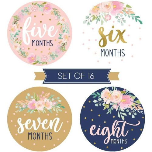  [아마존베스트]Hadley Designs 16 Navy Pink Floral Baby Girl Milestone Stickers, 12 Monthly Photo Picture Props for Infant Onesie, 1st Year Birth Months Belly Decals, Scrapbook Memory Registry Gift, Best Cute Sh