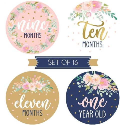  [아마존베스트]Hadley Designs 16 Navy Pink Floral Baby Girl Milestone Stickers, 12 Monthly Photo Picture Props for Infant Onesie, 1st Year Birth Months Belly Decals, Scrapbook Memory Registry Gift, Best Cute Sh