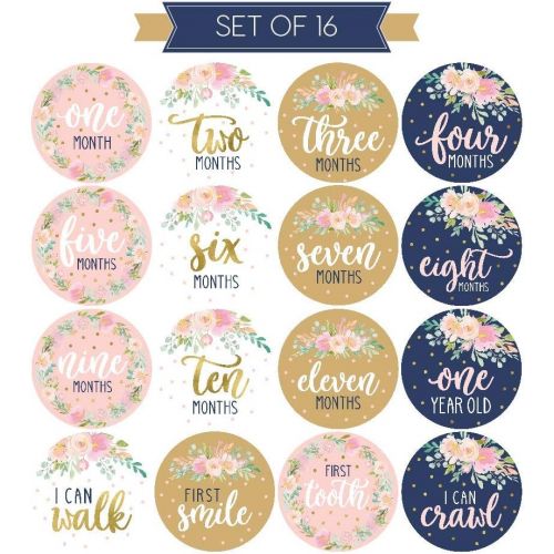  [아마존베스트]Hadley Designs 16 Navy Pink Floral Baby Girl Milestone Stickers, 12 Monthly Photo Picture Props for Infant Onesie, 1st Year Birth Months Belly Decals, Scrapbook Memory Registry Gift, Best Cute Sh