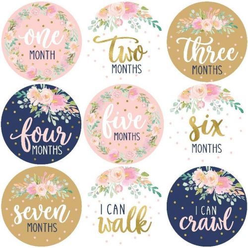  [아마존베스트]Hadley Designs 16 Navy Pink Floral Baby Girl Milestone Stickers, 12 Monthly Photo Picture Props for Infant Onesie, 1st Year Birth Months Belly Decals, Scrapbook Memory Registry Gift, Best Cute Sh