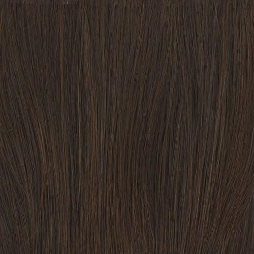  HairDo Hairdo Raquel Welch Always Long Layered Comfort Cap Wig, Soft Shades Hazelnut