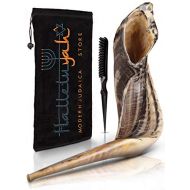 HalleluYAH Ram Shofar From Israel 10 - 12: KOSHER ODORLESS Ram Shofar Horn | Smooth Mouthpiece for Easy Blowing | Include Velvet Bag, Clean Brush and Shofar Guide - Made In Israel By HalleluY