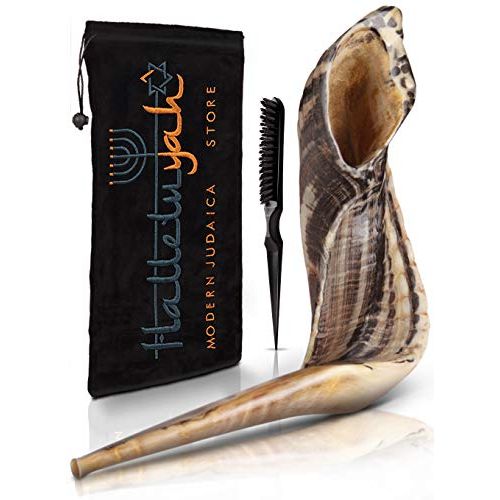  HalleluYAH Ram Shofar From Israel 10 - 12: KOSHER ODORLESS Ram Shofar Horn | Smooth Mouthpiece for Easy Blowing | Include Velvet Bag, Clean Brush and Shofar Guide - Made In Israel By HalleluY