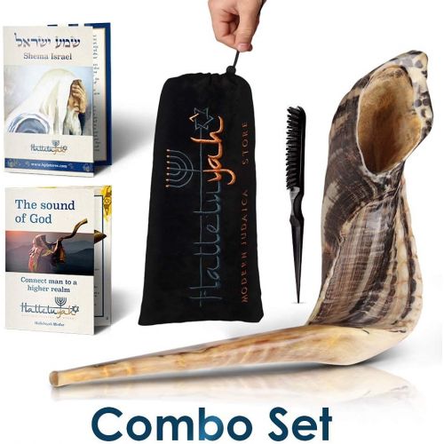  HalleluYAH Ram Shofar From Israel 10 - 12: KOSHER ODORLESS Ram Shofar Horn | Smooth Mouthpiece for Easy Blowing | Include Velvet Bag, Clean Brush and Shofar Guide - Made In Israel By HalleluY