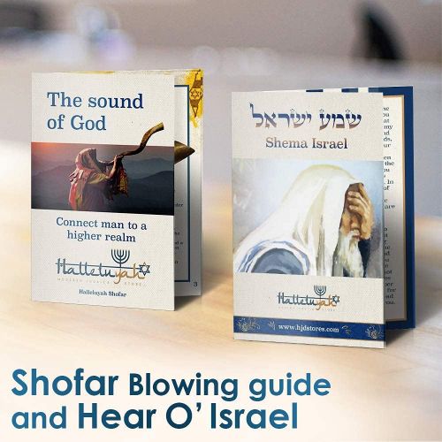  HalleluYAH Ram Shofar From Israel 10 - 12: KOSHER ODORLESS Ram Shofar Horn | Smooth Mouthpiece for Easy Blowing | Include Velvet Bag, Clean Brush and Shofar Guide - Made In Israel By HalleluY