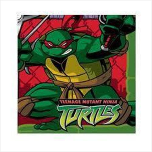  Hallmark Teenage Mutant Ninja Turtles Small Napkins (16ct)