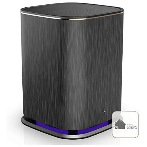  Hama Wireless Subwoofer Multiroom (Wireless Connection via UNDOK App, Active Subwoofer for Expanding Sound Systems and Radios) Black