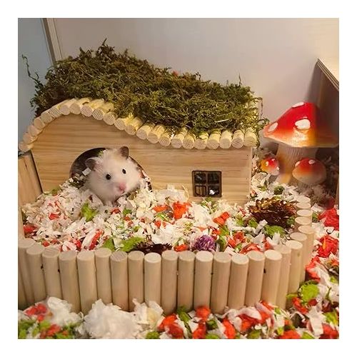  Hamster Wooden House with Windows Rat Wood Hideout Small Animal Climbing Play Hut for Hamster Sugar Gliders Gerbil Dwarf Hamster