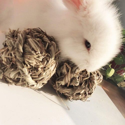  Hamiledyi Rabbit Chew Ball Timothy Grass Grinding Small Animal Activity Play Chew Toys for Bunny Rabbits Hamster Guinea Pigs Gerbils