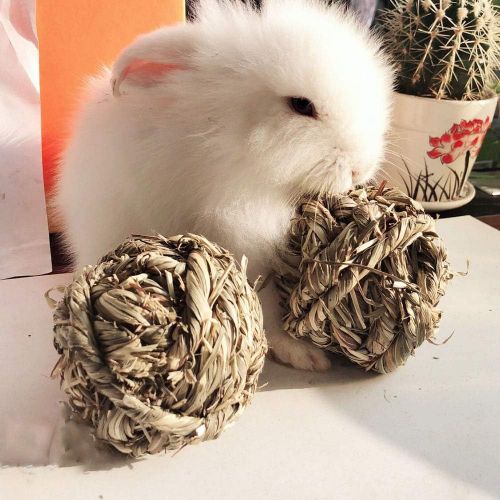  Hamiledyi Rabbit Chew Ball Timothy Grass Grinding Small Animal Activity Play Chew Toys for Bunny Rabbits Hamster Guinea Pigs Gerbils