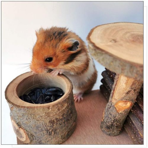  Hamiledyi Hamster Natural Living Climb System Rat Playground Activity Set Platform with Wood Bridge/Food Bowl/Tunnel/Ladders Play Toys Natural Hideout for Mouse,Gerbil, Small Anima