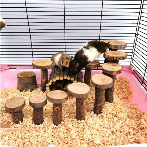  Hamiledyi Hamster Natural Living Climb System Rat Playground Activity Set Platform with Wood Bridge/Food Bowl/Tunnel/Ladders Play Toys Natural Hideout for Mouse,Gerbil, Small Anima