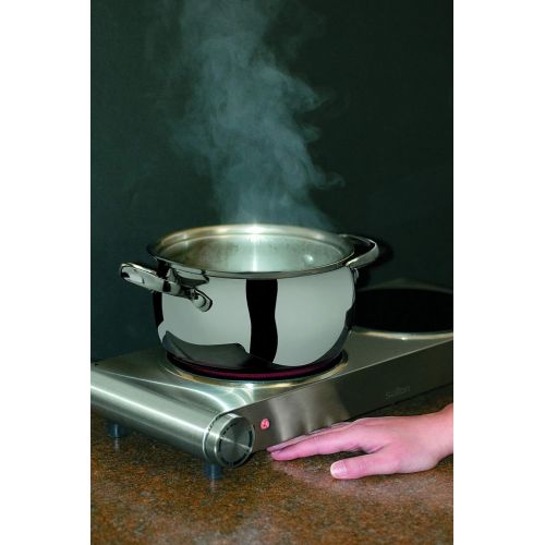  Salton HP1269 Double Burner Infrared Cooking Range, Stainless Steel