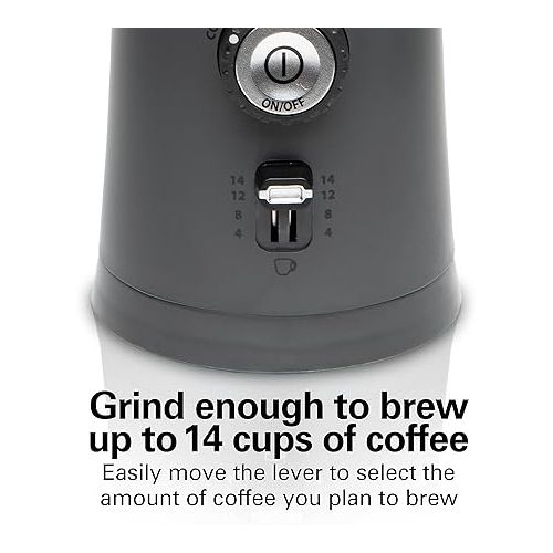  Hamilton Beach Electric Coffee Grinder for Beans, Spices and More, with Multiple Grind Settings for up to 14 Cups, Removable Stainless Steel Chamber, Grey (80396C), 10 oz