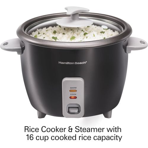  Hamilton Beach Rice Cooker & Food Steamer, 16 Cups Cooked (8 Uncooked), With Steam & Rinse Basket, Black (37517)