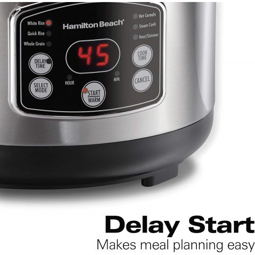  Hamilton Beach Digital Programmable Rice Cooker & Food Steamer, 14 Cups Cooked (7 Uncooked) With Steam & Rinse Basket, Stainless Steel (37548)