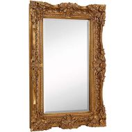 Hamilton Hills Large Ornate Gold Baroque Frame Mirror | Aged Luxury | Elegant Rectangle Wall Piece | Vanity, Bedroom, or Bathroom | Hangs Horizontal or Vertical | 100% (30 x 40)