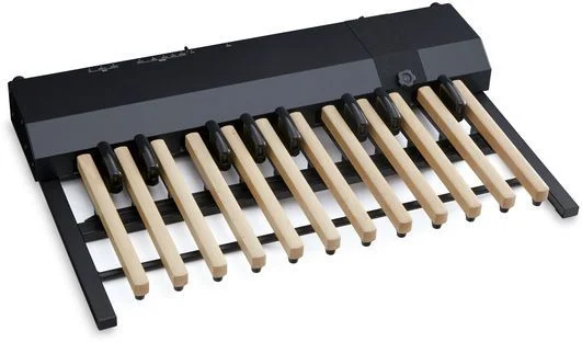 Hammond XPK-200GL 20-note MIDI Sound Pedalboard