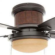 Hampton Bay Roanoke 48 in. LED Indoor/Outdoor Natural Iron Ceiling Fan with Light Kit