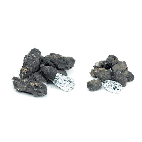  Hand2mind hand2mind Small Barn Owl Pellets in a Bucket, Set of 75