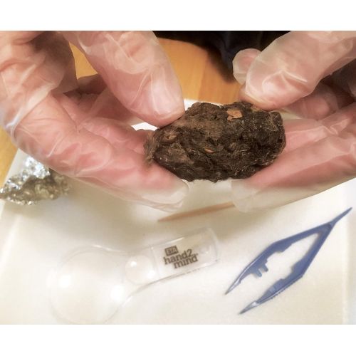  Hand2mind hand2mind Small Barn Owl Pellets in a Bucket, Set of 75