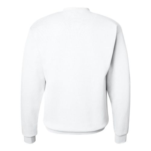  Hanes Mens EcoSmart Fleece Sweatshirt (Pack of 2)