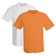 Hanes Mens Short Sleeve Cool Dri T-Shirt UPF 50+ (Pack of 2)